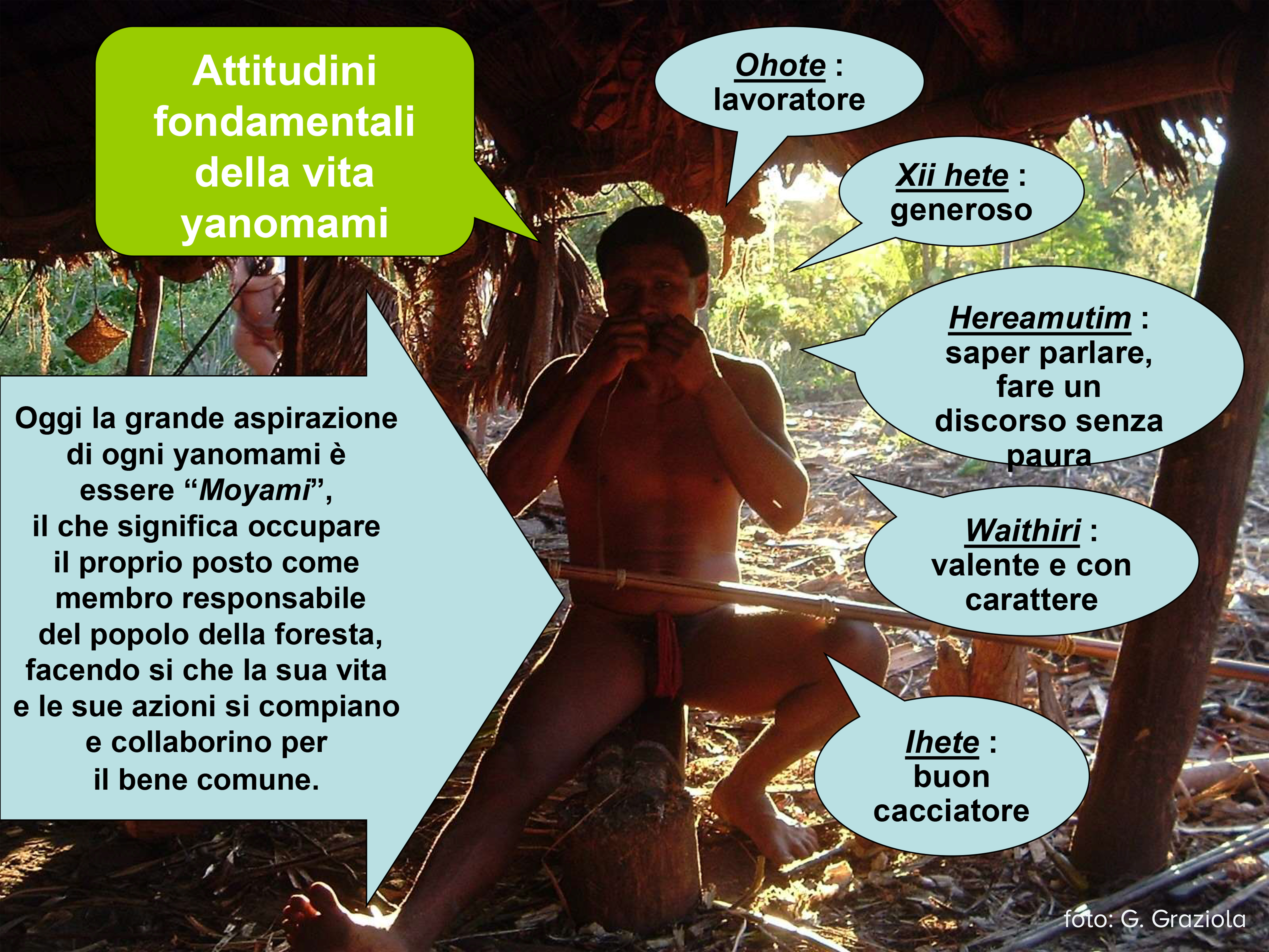 Attitudini fondamentali della vita